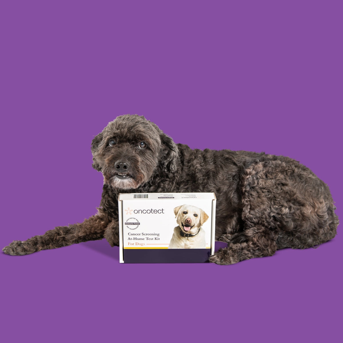 At-Home Dog Cancer Screening Test Kit