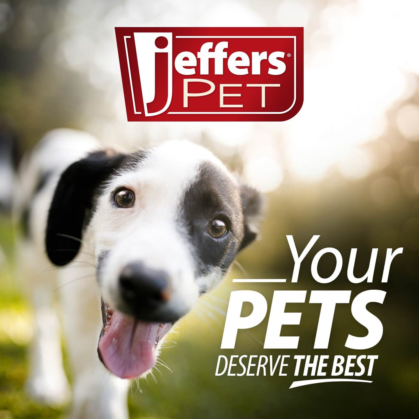 Jeffers Carrot Natural Rubber Treat Dispensing Dental Dog Chew Toy with Slit