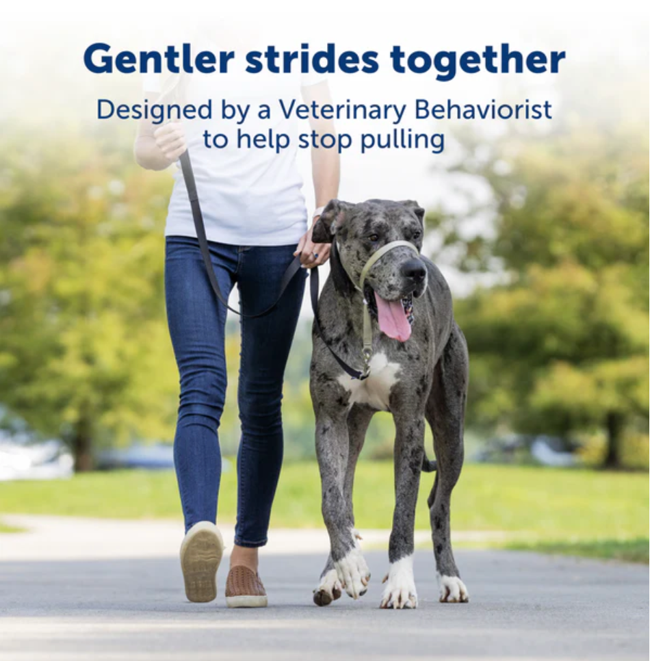 Petsafe Gentle Leader® Headcollar, No-Pull Dog Collar Black Small