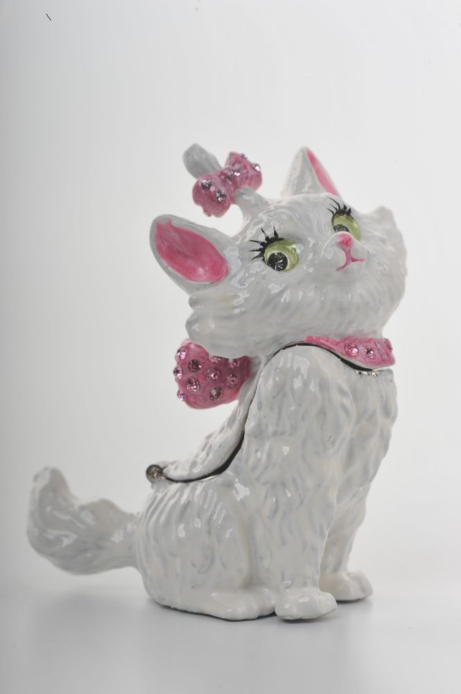 White and Pink Cat