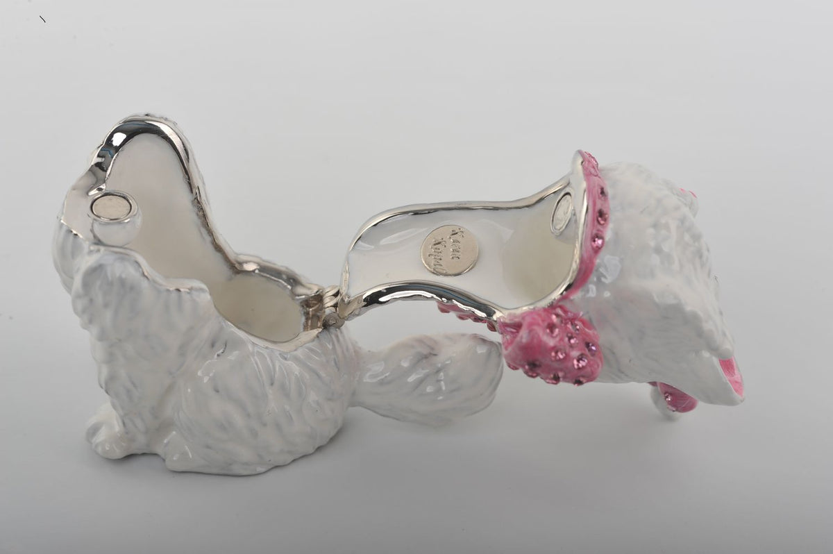 White and Pink Cat