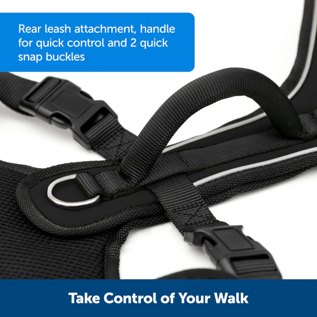 Petsafe Easysport Harness Teal Md