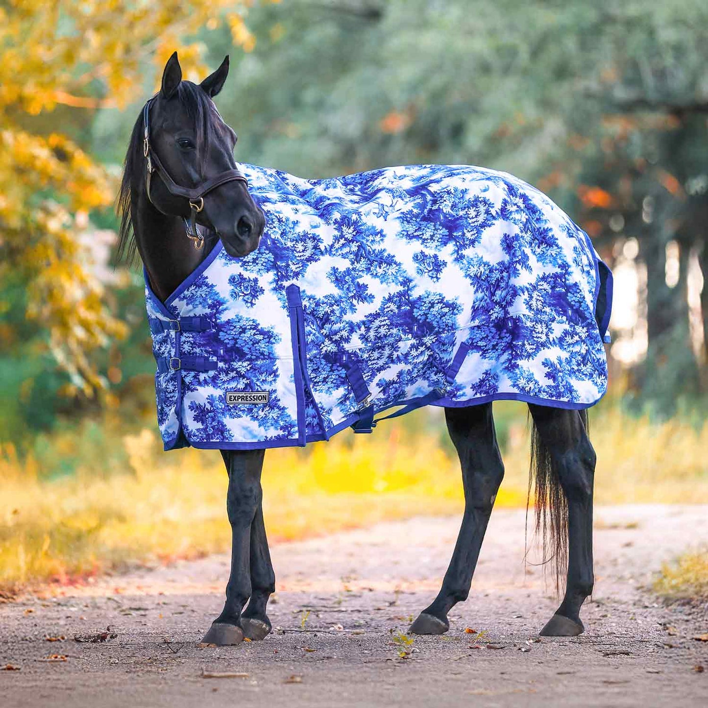 Jeffers Expression 1200 Denier Standard Neck Horse Turnout Sheet, 0 Gram