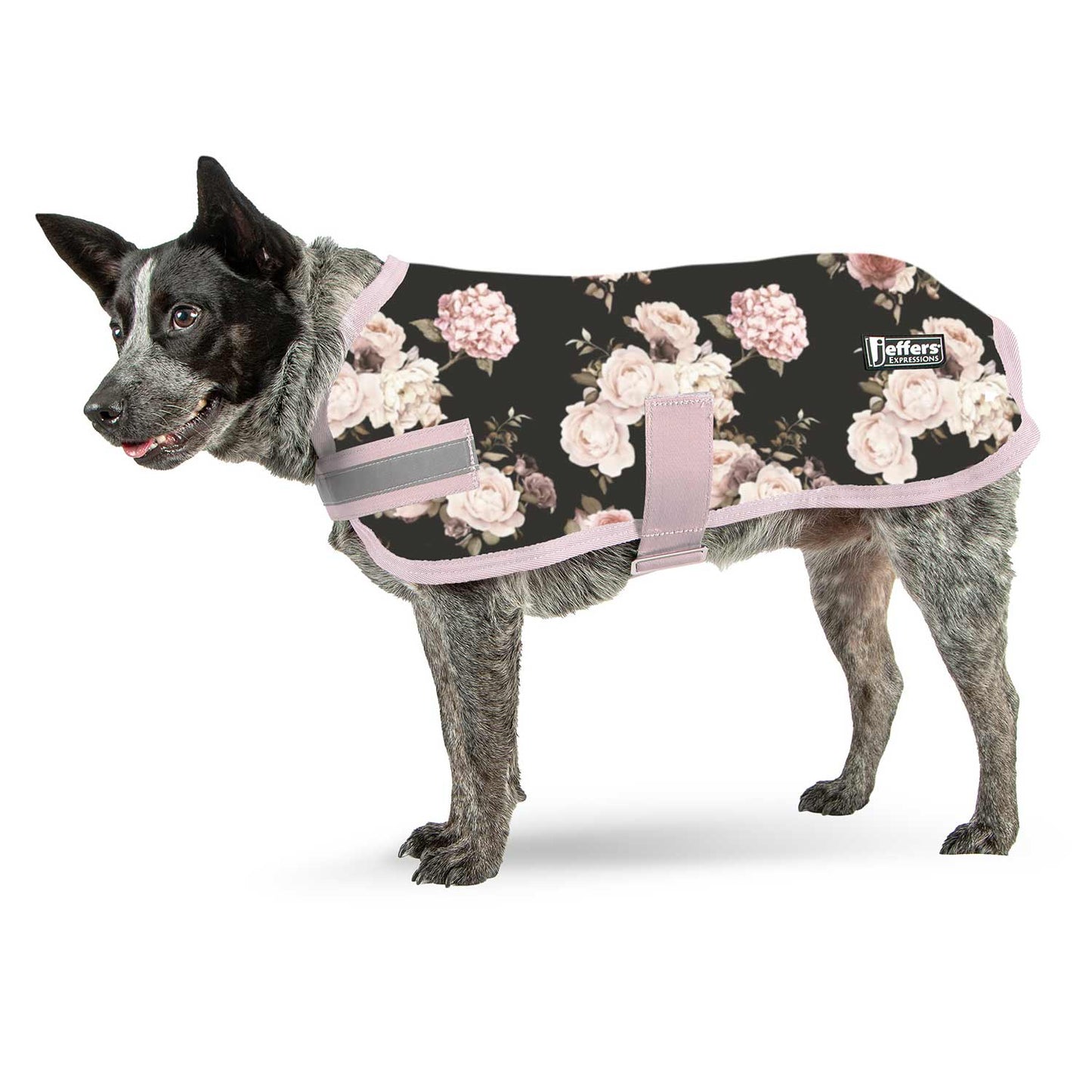 Jeffers Expression Moisture-Wicking Fleece Dog Coat