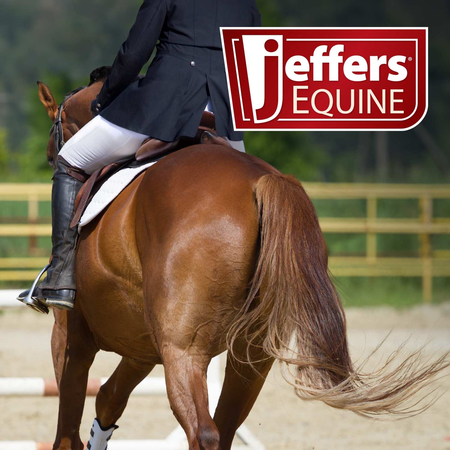 Jeffers Equine Tail & Mane Detangler and Conditioner Spray for Horses