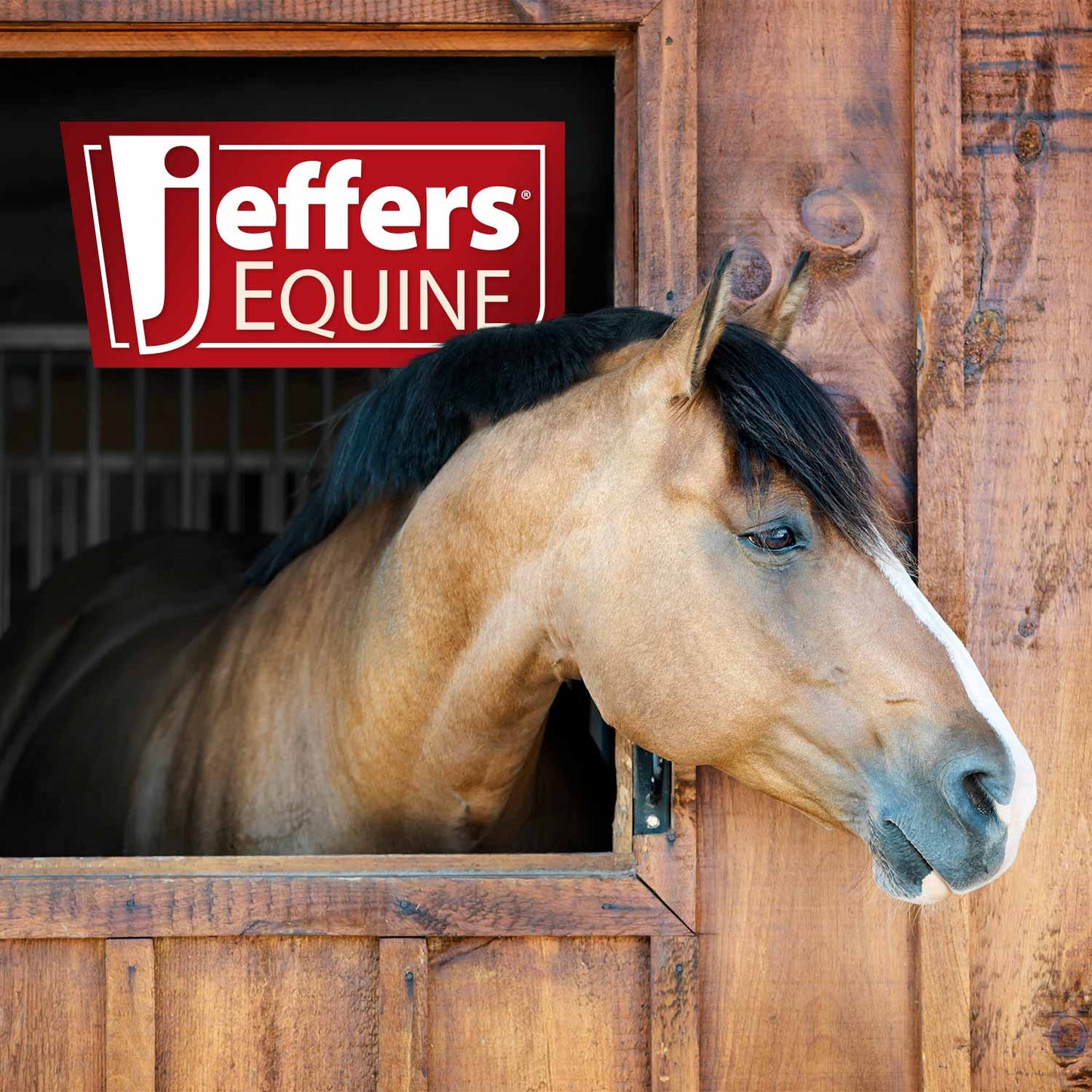 Jeffers Equine No-Rinse Waterless Horse Shampoo Spray