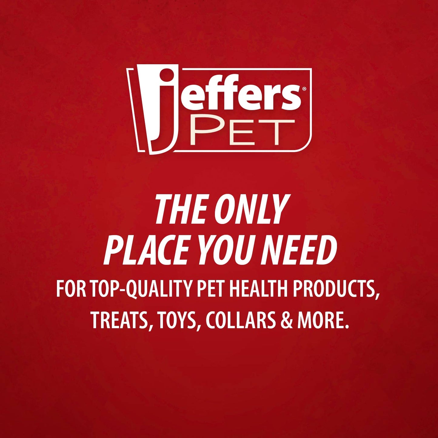Jeffers Fuzzy Shapes Dog Toys with Squeakers, Assorted Colors
