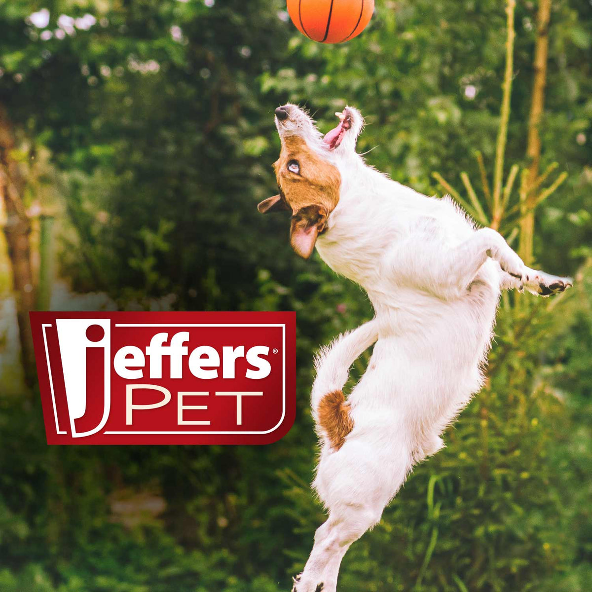Jeffers Fuzzy Shapes Dog Toys with Squeakers, Assorted Colors