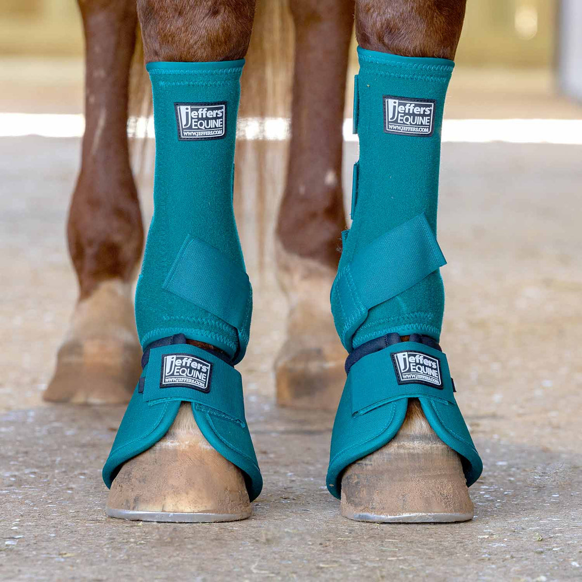 Jeffers No-Turn Bell Boots for Horses, Solid Colors, 2 Count