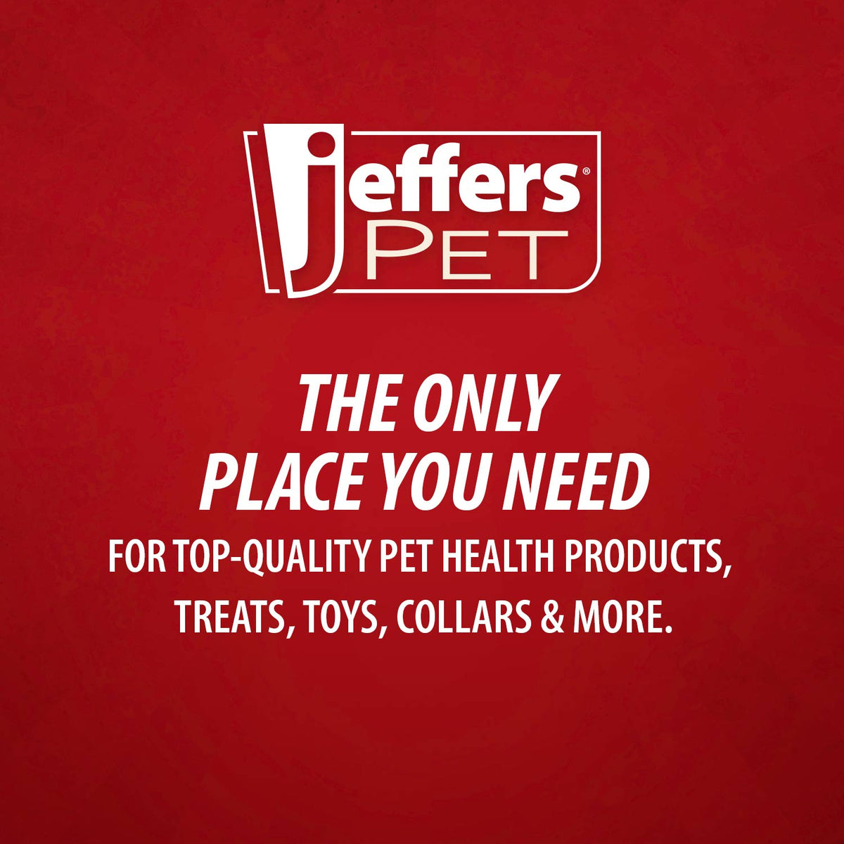 Jeffers Christmas Character Plush Orbs Squeaker Dog Toy