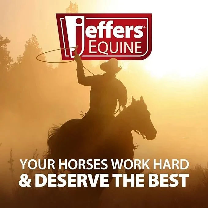 Jeffers Probiotic Gel for Horses, 2 Dose Syringe