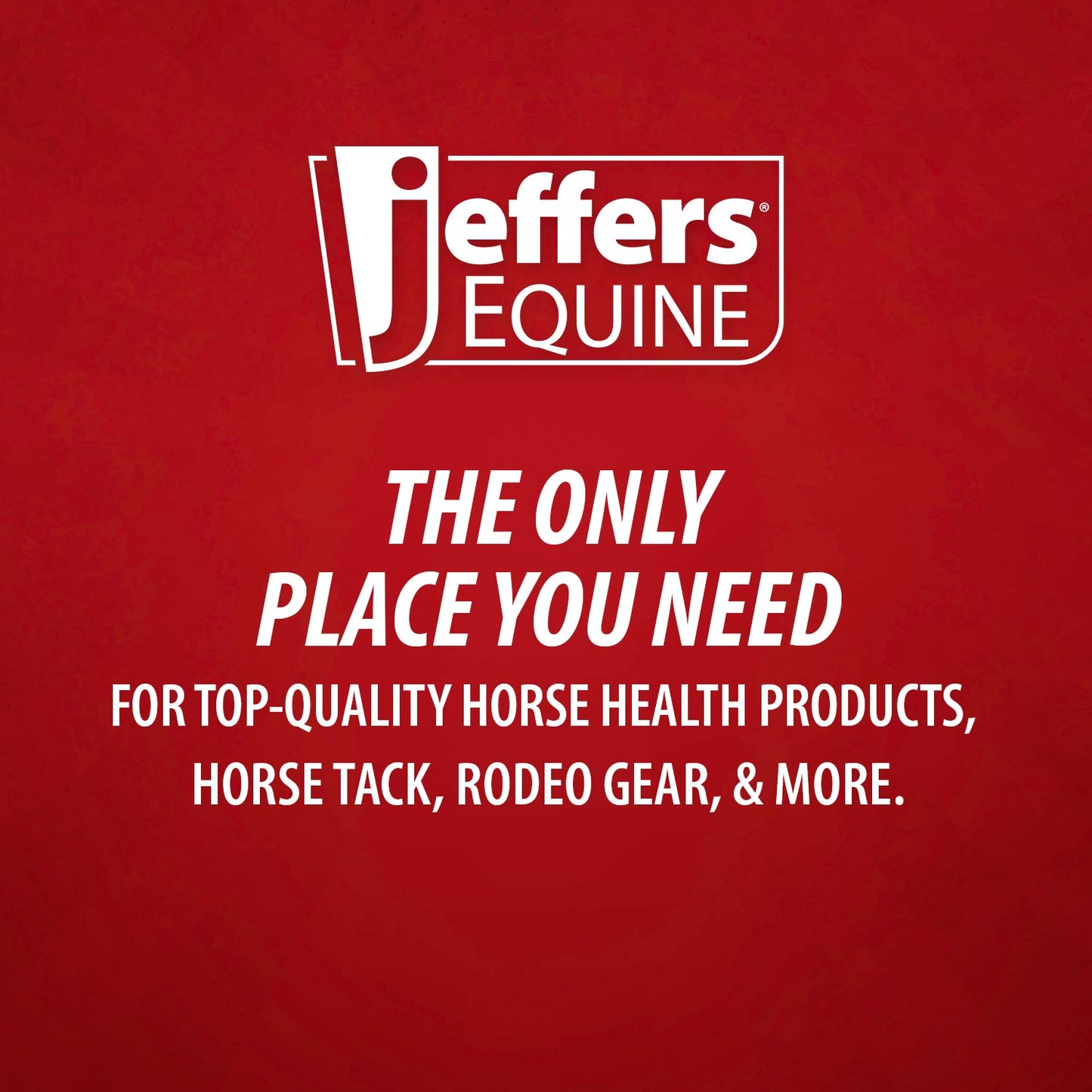 Jeffers Stainless Steel Sharp Grooming Scissors for Horses – Mane, Tail & Braiding Trimming Tool