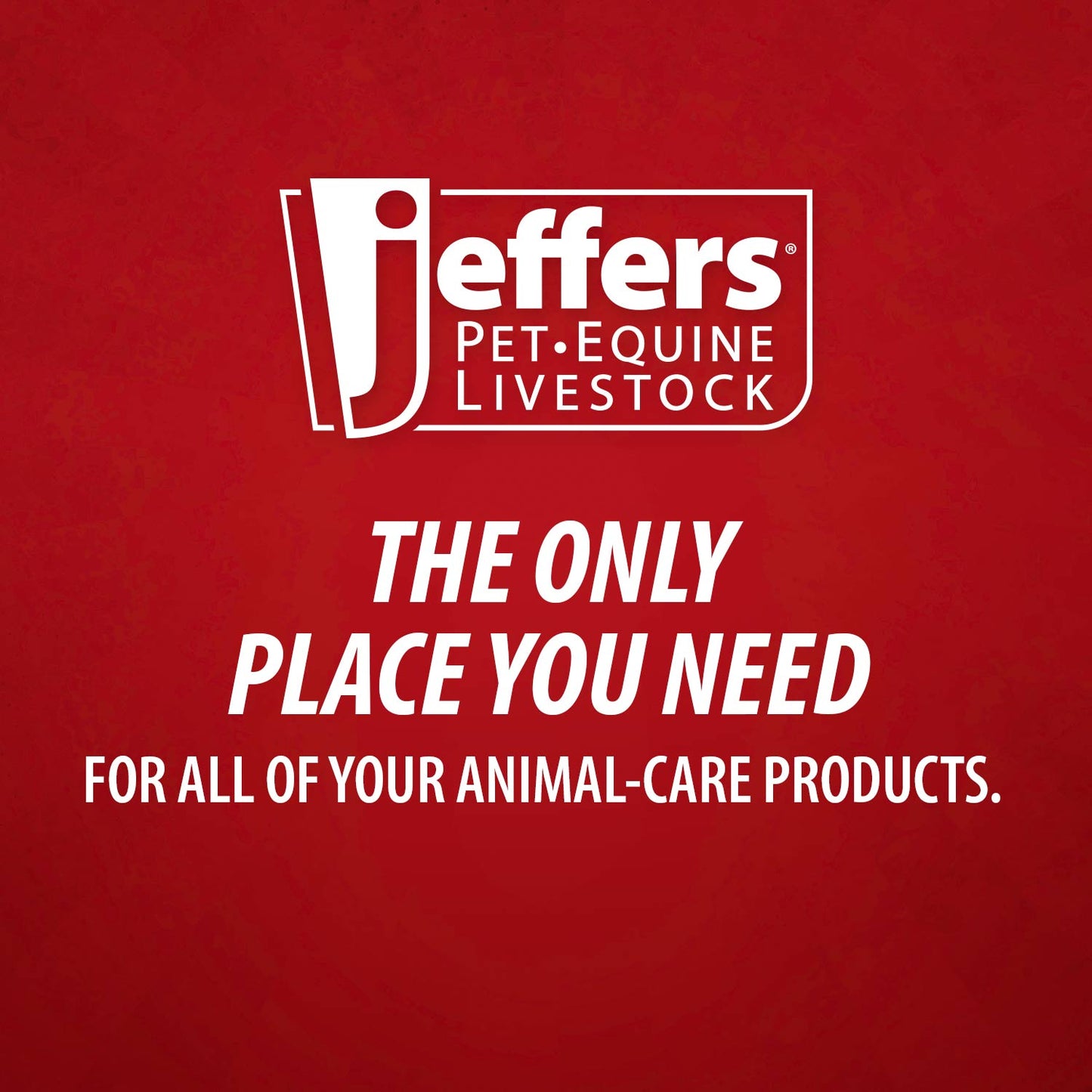 Jeffers GROOMIT - Rubber Grooming Glove for Animals