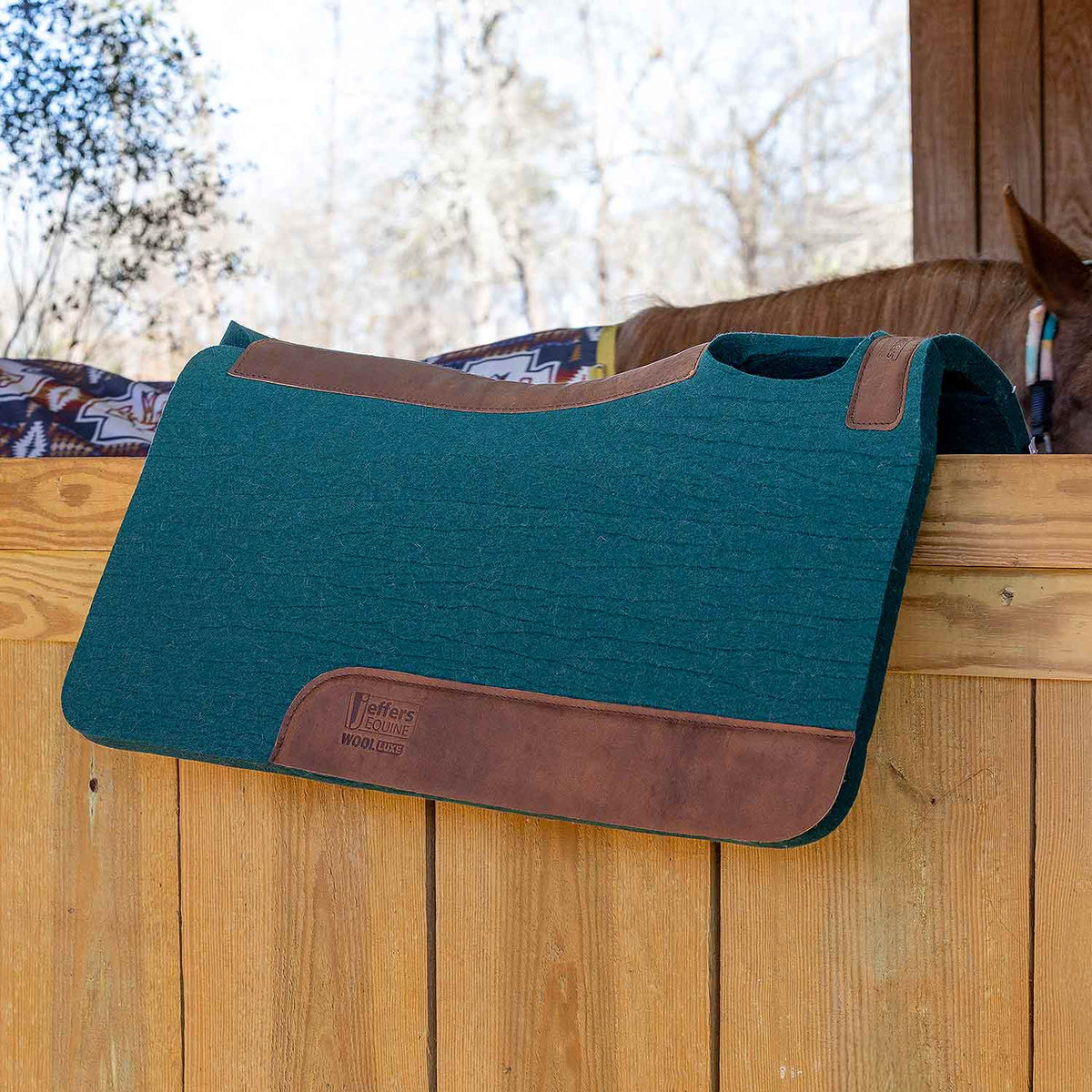 Jeffers WoolLuxe 100% Wool Equine Saddle Pad – Cushioned, Breathable, and Shock-Absorbing