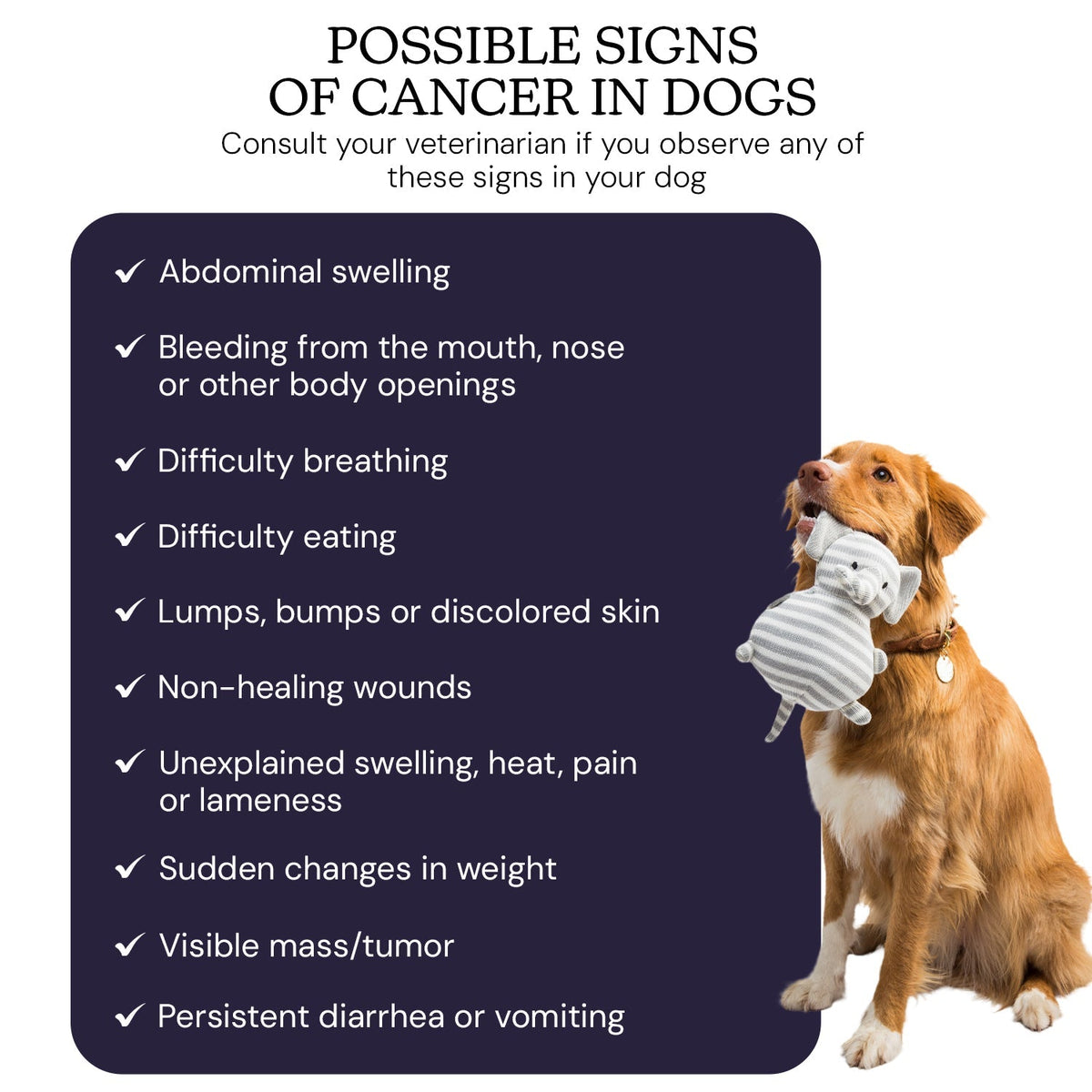 At-Home Dog Cancer Screening Test Kit