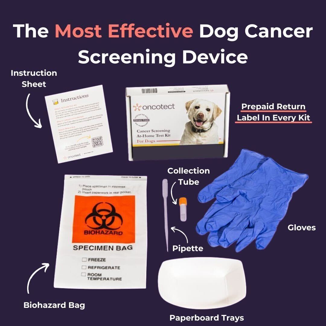 At-Home Dog Cancer Screening Test Kit