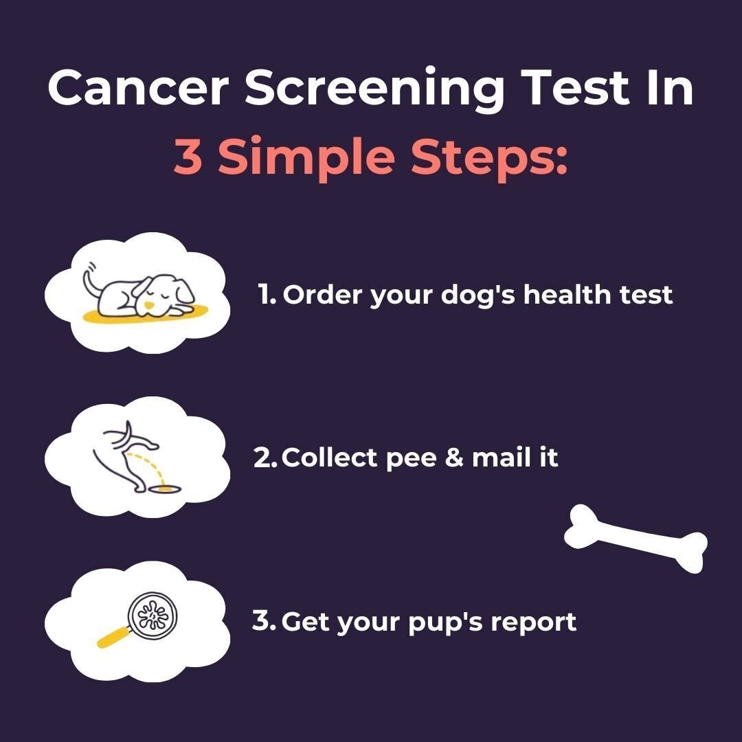 At-Home Dog Cancer Screening Test Kit