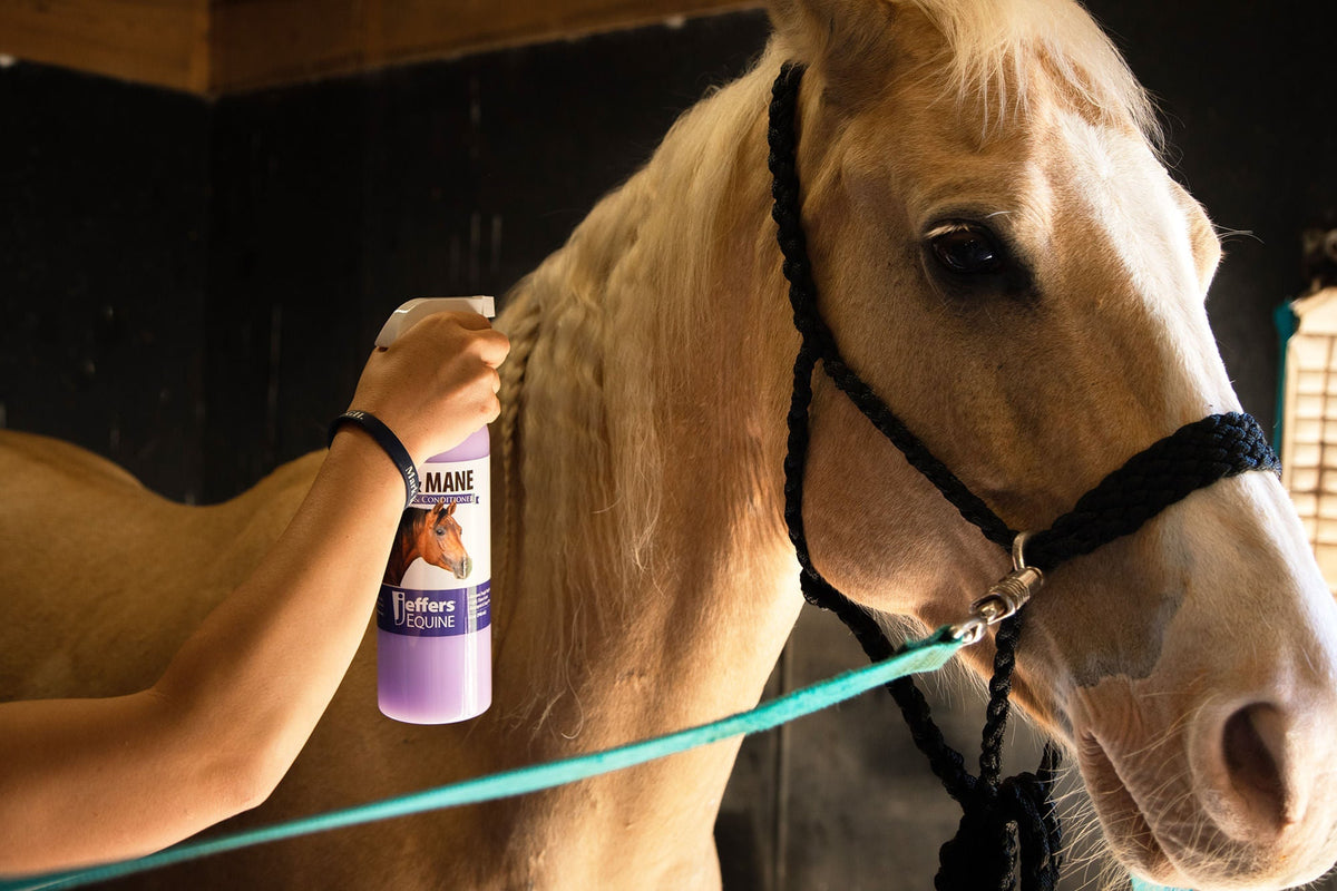 Jeffers Equine Tail & Mane Detangler and Conditioner Spray for Horses