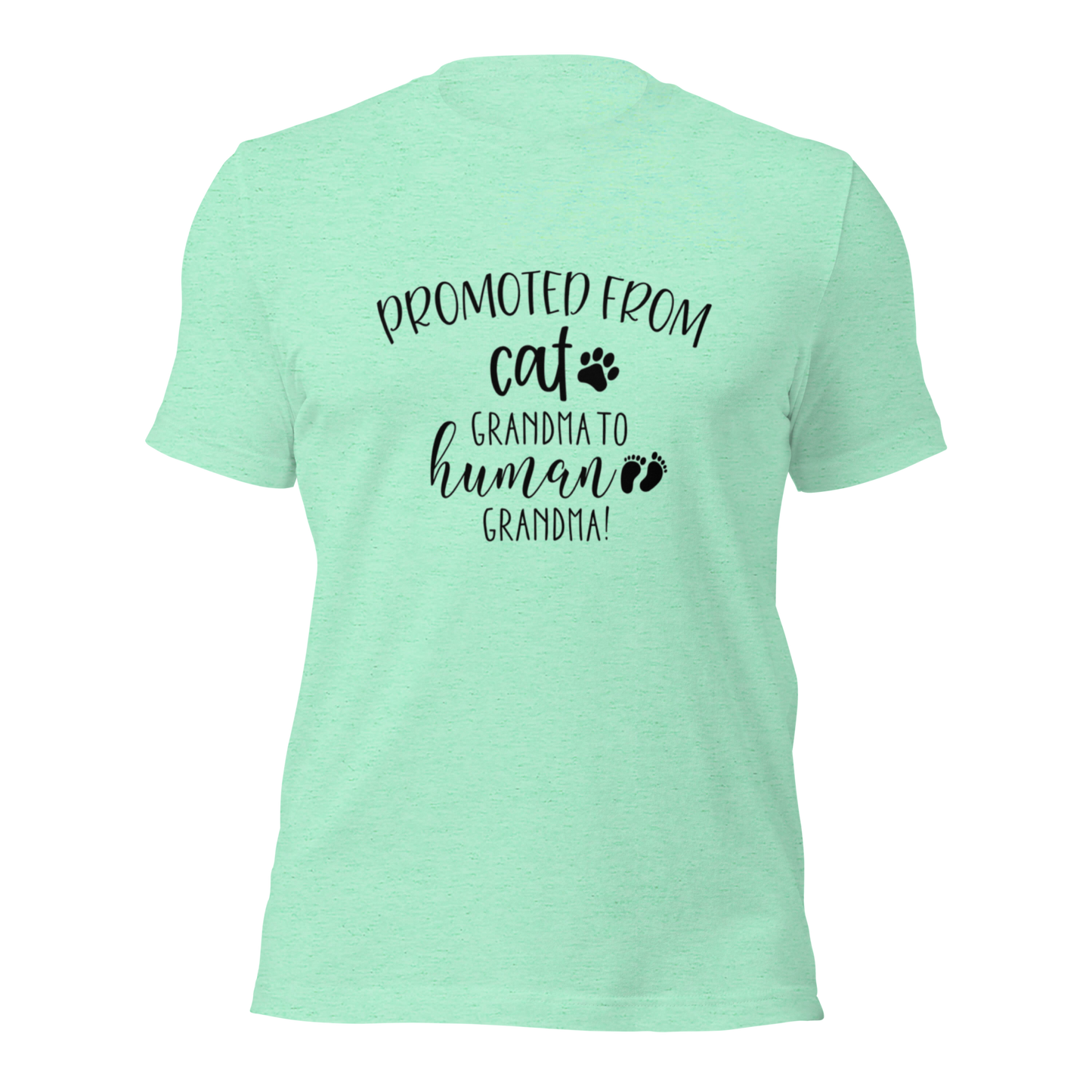 Promoted from Cat Grandma to Human Grandma T-Shirt